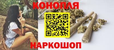 крисы Заводоуковск