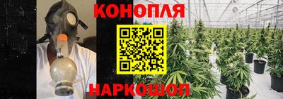 крисы Заводоуковск
