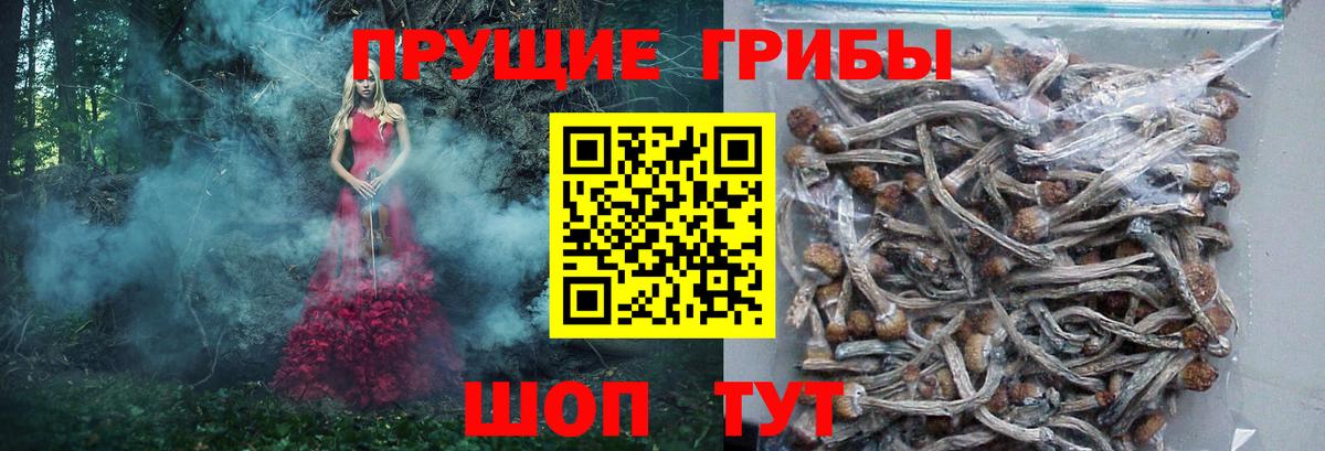 наркота  Вход с VPN  Гуково  Псилоцибиновые грибы ЛСД  Псилоцибиновые грибы Psilocybe 