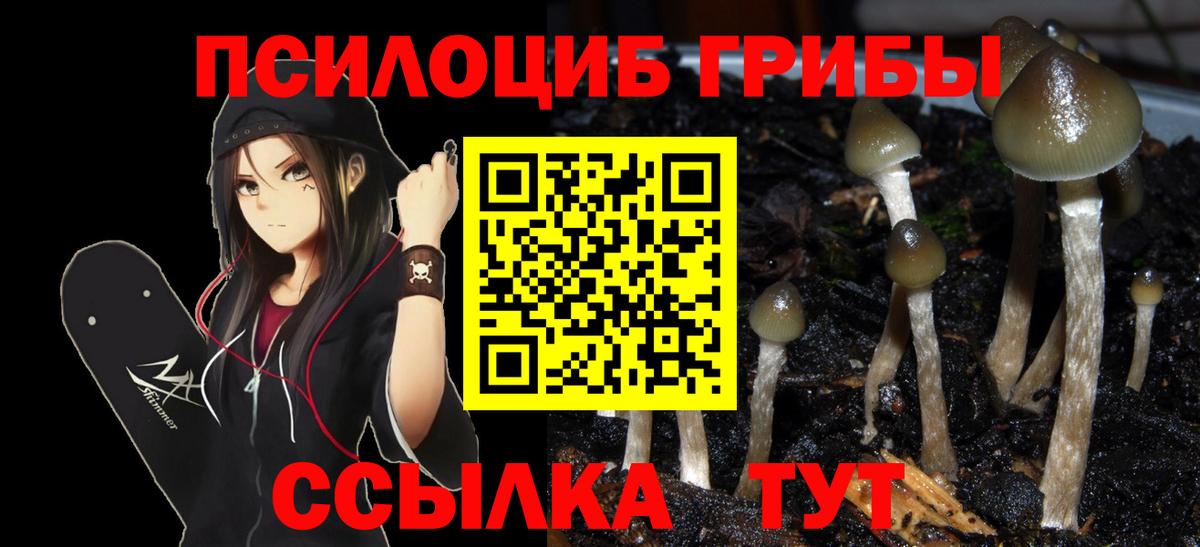 Псилоцибиновые грибы Magic Shrooms Гуково
